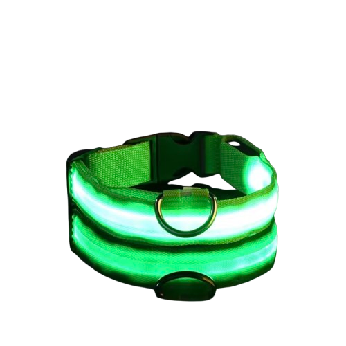 PupGlow™ – Collier Lumineux pour Chien