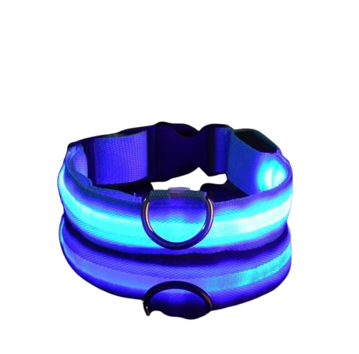 PupGlow™ – Collier Lumineux pour Chien