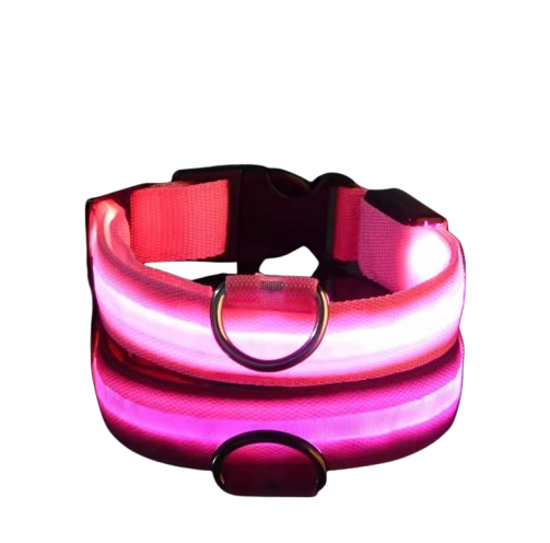 PupGlow™ – Collier Lumineux pour Chien
