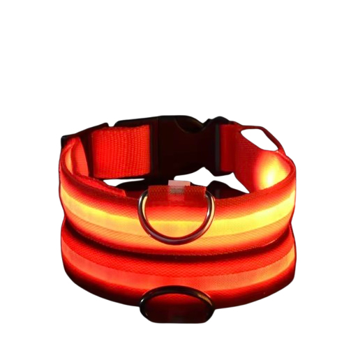 PupGlow™ – Collier Lumineux pour Chien