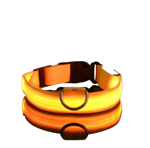 PupGlow™ – Collier Lumineux pour Chien
