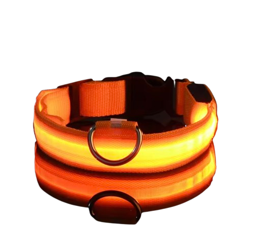 PupGlow™ – Collier Lumineux pour Chien