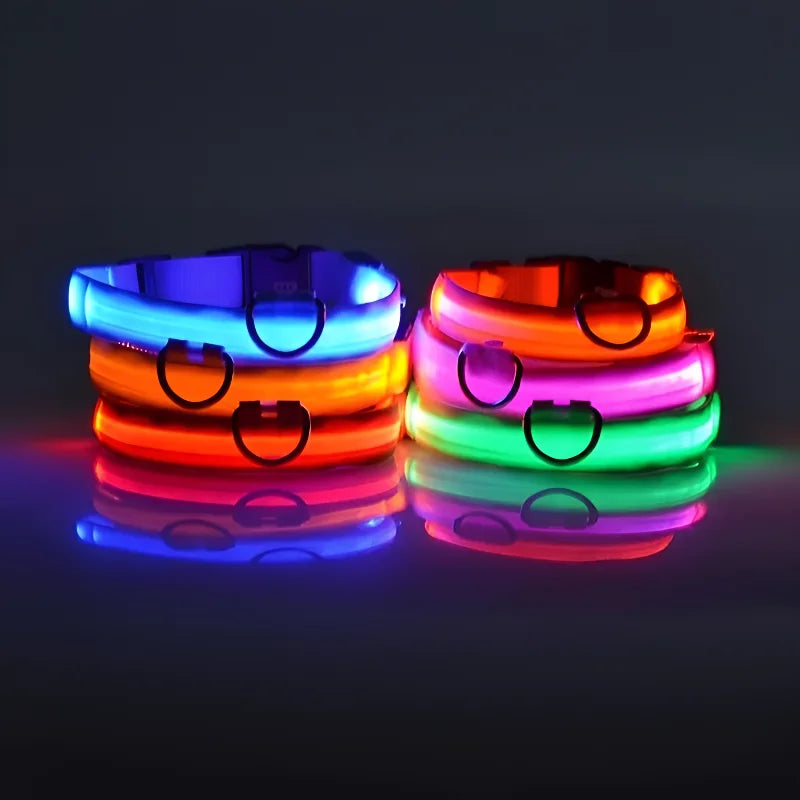 PupGlow™ – Collier Lumineux pour Chien