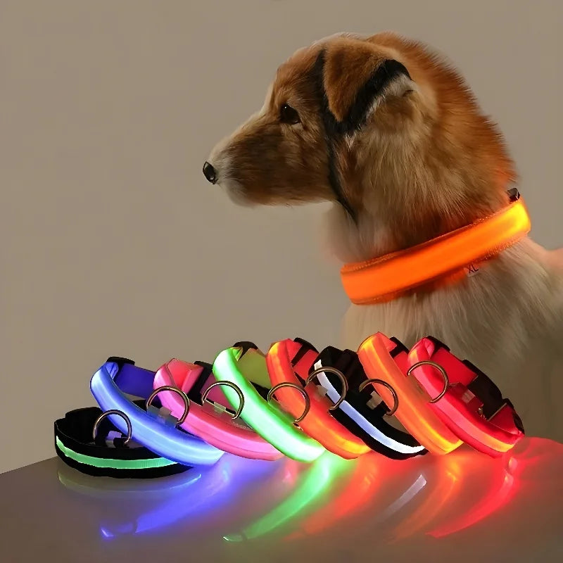 PupGlow™ – Collier Lumineux pour Chien