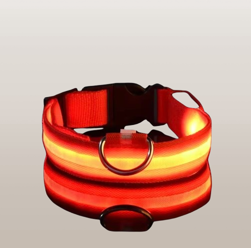 PupGlow™ – Collier Lumineux pour Chien