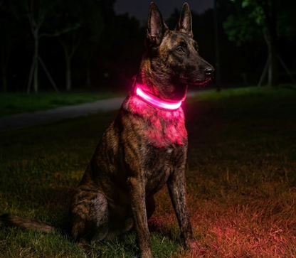 PupGlow™ – Collier Lumineux  pour Chien